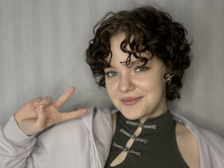 closeup AmmelyFerret