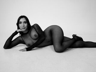 chat live webcam AnetteLawren