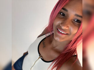 teaser webcam EmelyCop